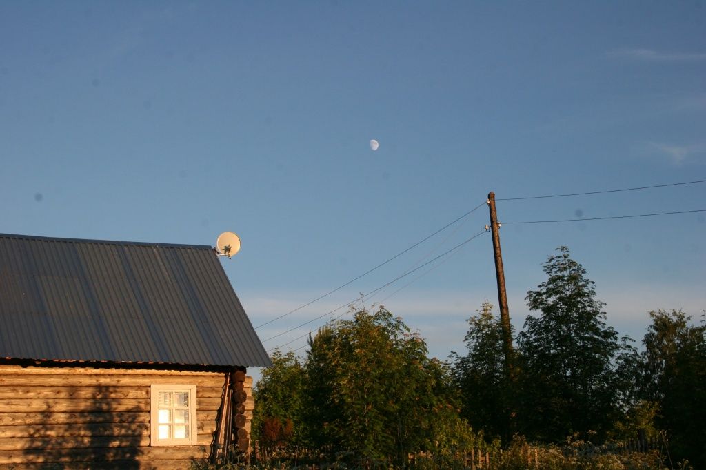 ночь, белая.JPG